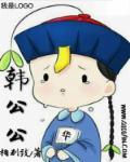 韩公公司