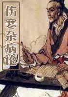 伤寒杂病论的主要成就