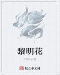 黎明花呗是正规平台吗安全吗