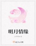 明月情缘歌曲原唱
