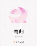 引凤鸾归