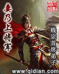 妻乃上将军苏婉结局