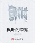 枫叶荣耀是正规学校吗