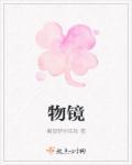 物镜的作用是什么