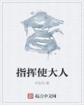 指挥使大人是什么职位