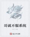 一口气看完不服系统