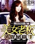 美女总裁的极品高手人物介绍