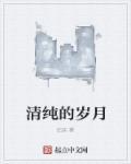 纯情岁月长篇