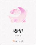 妻华男主