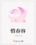 惜春容by秦染讲的什么