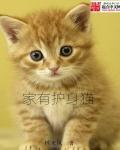 护身仙家出自哪里