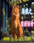 海贼王之小贼猫