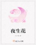 夜线 石墨生花