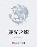 逐光者介绍
