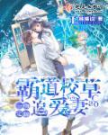 甜妻攻略总裁老公