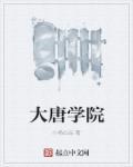 大唐学院副院长刘希的演讲视频