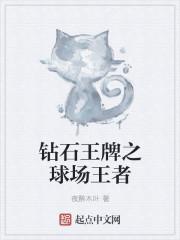 钻石王牌之球场王者534章