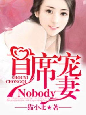 首席宠妻nobody 未删减版