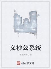 文抄公的所有