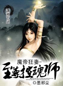 至尊控魂师
