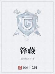 锋藏啤酒是哪个公司的