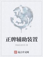 正牌辅助装置起点