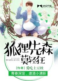 狐狸先生是哪个电视剧