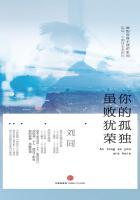 你的孤独虽败犹荣书