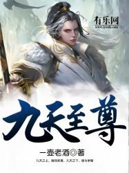 九天至尊和袋十二