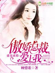 盛婚宠爱霸道总裁偏执爱