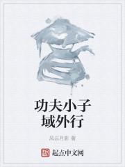功夫小子2008
