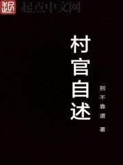 村干部的自述
