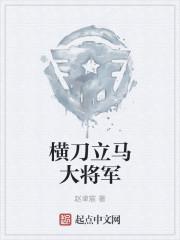 横刀立马大将军说的是谁