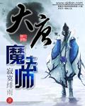 大唐魔法师 聚合中文网