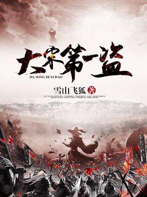 大宋第一盗全集免费听书