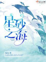 星海沙滩在哪