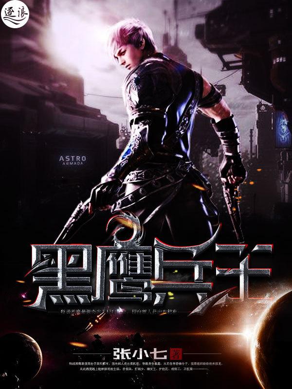 黑鹰全集