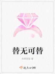 无可替代解释