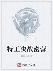 特工密令攻略第17关