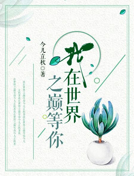 我在世界之巅等你大结局