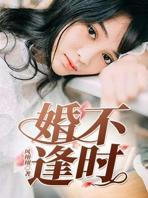 婚不逢时霍先生请离婚作者风栩栩