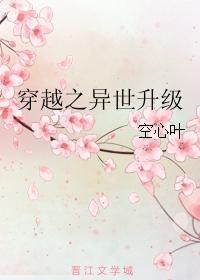 穿越之异世升级 完结 番外