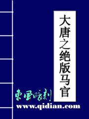 大唐马王爷女主有几个