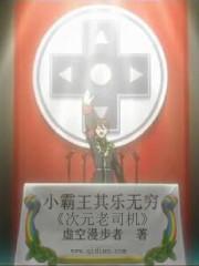 次元老司机网站入口