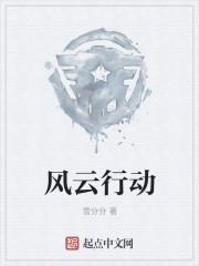 风云行动电视剧免费观看