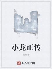 小龙写的