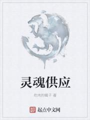 灵魂蘸料