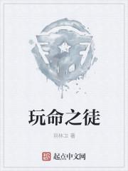 玩命之徒音乐故事