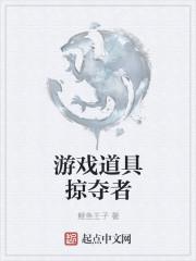 掠夺者游戏视频