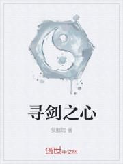 寻剑问情